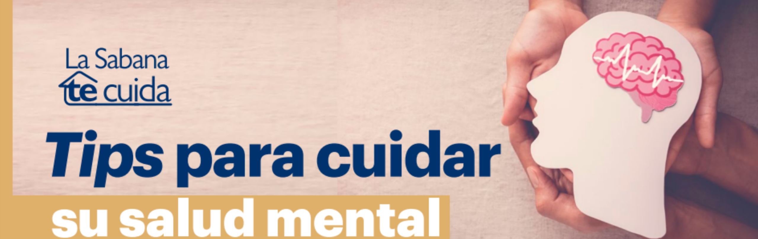 Tips Para Cuidar Su Salud Mental